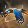 nubia_ultra_9 Celular Nubia focus 2 Ultra 5G